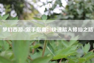 梦幻西游sf新手指南：快速踏入修仙之路