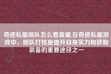 奇迹私服组队怎么看血量,在奇迹私服游戏中，组队打怪是提升自身实力和获取装备的重要途径之一