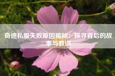 奇迹私服失败原因揭秘：探寻背后的故事与教训