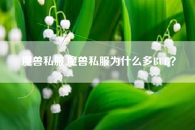 魔兽私服,魔兽私服为什么多BUG？