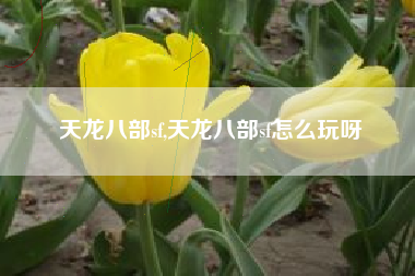天龙八部sf,天龙八部sf怎么玩呀