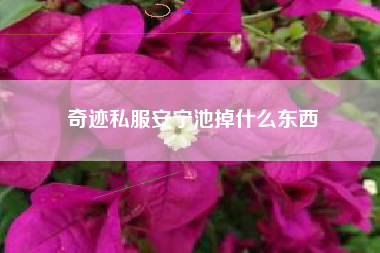 奇迹私服安宁池掉什么东西
