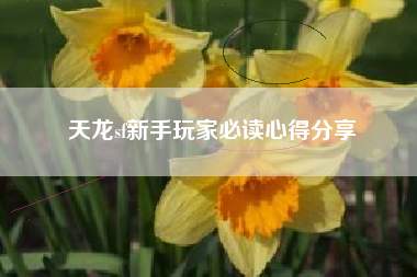 天龙sf新手玩家必读心得分享