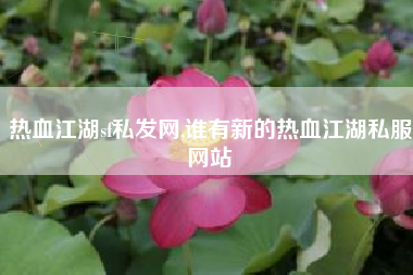 热血江湖sf私发网,谁有新的热血江湖私服网站