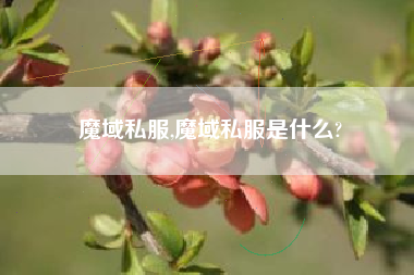 魔域私服,魔域私服是什么?