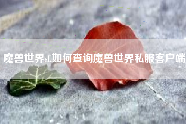魔兽世界sf,如何查询魔兽世界私服客户端