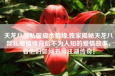 天龙八部私服脚本情缘,独家揭秘天龙八部私服情缘背后不为人知的爱情故事，看他们如何书写江湖传奇！