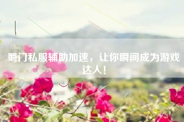 蜀门私服辅助加速，让你瞬间成为游戏达人！