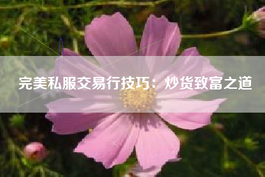 完美私服交易行技巧：炒货致富之道