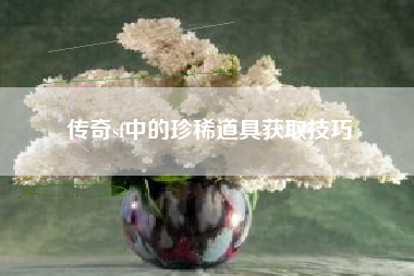 传奇sf中的珍稀道具获取技巧