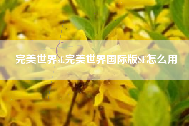 完美世界sf,完美世界国际版SF怎么用