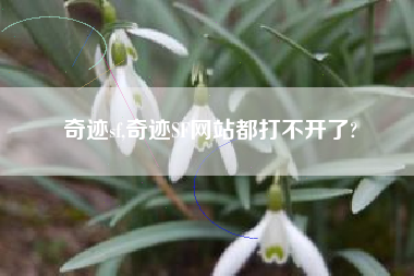奇迹sf,奇迹SF网站都打不开了?