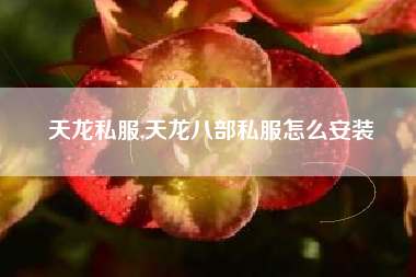 天龙私服,天龙八部私服怎么安装