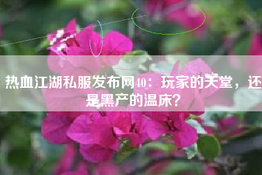 热血江湖私服发布网40:玩家的天堂,还是黑产的温床?