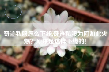 奇迹私服怎么下线,奇迹私服为何如此火爆?原来是这样下线的!