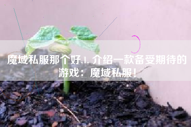 魔域私服那个好,1. 介绍一款备受期待的游戏:魔域私服!