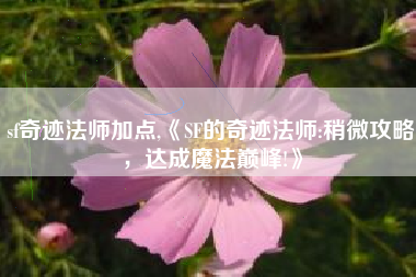 sf奇迹法师加点,《SF的奇迹法师:稍微攻略，达成魔法巅峰!》