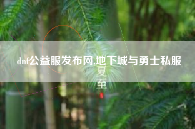 dnf公益服发布网,地下城与勇士私服