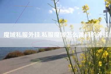魔域私服外挂,私服魔域怎么跳门的外挂