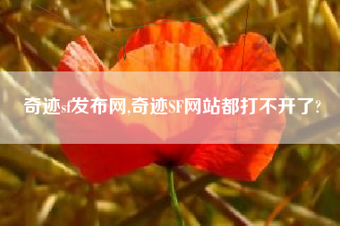 奇迹sf发布网,奇迹SF网站都打不开了?