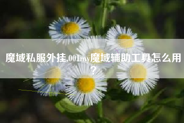魔域私服外挂,001my魔域辅助工具怎么用？