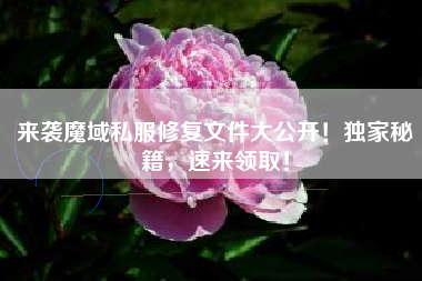 来袭魔域私服修复文件大公开!独家秘籍,速来领取!