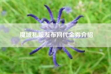魔域私服发布网代金券介绍