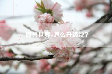 魔兽世界sf怎么升级快？