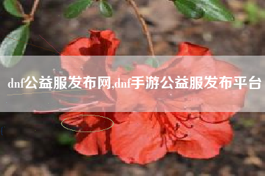dnf公益服发布网,dnf手游公益服发布平台