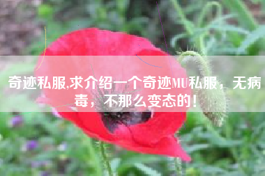 奇迹私服,求介绍一个奇迹MU私服，无病毒，不那么变态的！