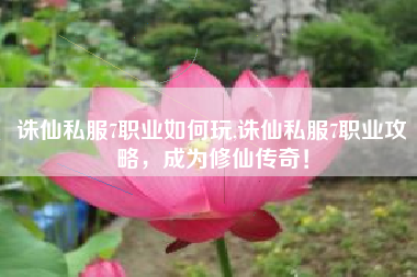 诛仙私服7职业如何玩,诛仙私服7职业攻略,成为修仙传奇!
