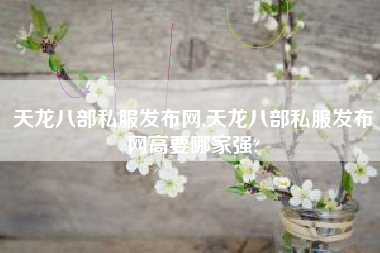 天龙八部私服发布网,天龙八部私服发布网高要哪家强?