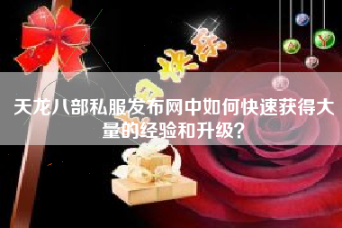 天龙八部私服发布网中如何快速获得大量的经验和升级？