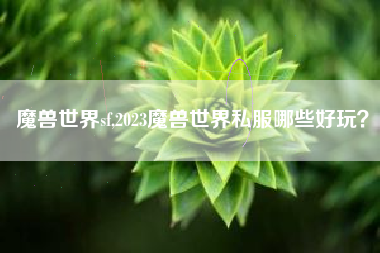 魔兽世界sf,2023魔兽世界私服哪些好玩？