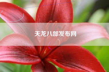 天龙八部发布网