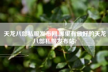 天龙八部私服发布网,哪里有最好的天龙八部私服发布站?