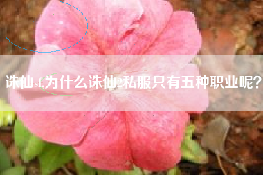 诛仙sf,为什么诛仙2私服只有五种职业呢？