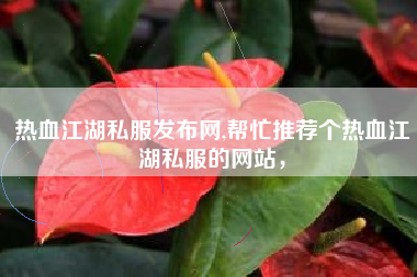 热血江湖私服发布网,帮忙推荐个热血江湖私服的网站，