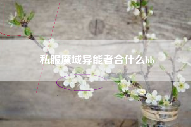 私服魔域异能者合什么bb