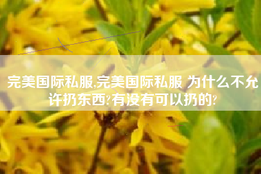 完美国际私服,完美国际私服 为什么不允许扔东西?有没有可以扔的?