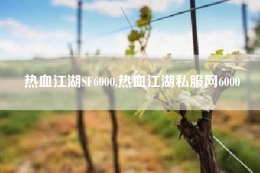 热血江湖SF6000,热血江湖私服网6000