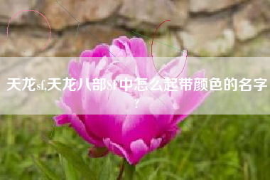 天龙sf,天龙八部SF中怎么起带颜色的名字?
