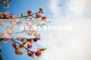 传奇sf道士宠物养成攻略