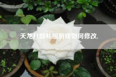 天龙八部私服游戏如何修改,