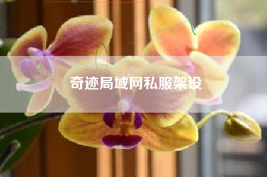奇迹局域网私服架设