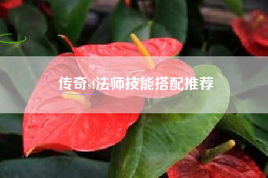 传奇sf法师技能搭配推荐