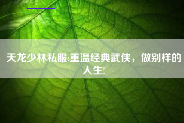 天龙少林私服:重温经典武侠，做别样的人生!