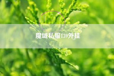 魔域私服139外挂