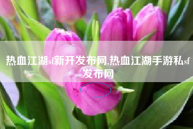 热血江湖sf新开发布网,热血江湖手游私sf发布网