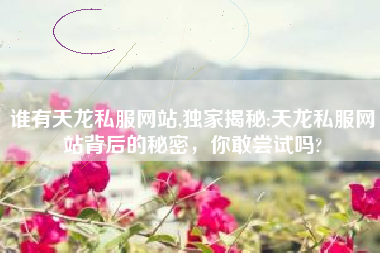 谁有天龙私服网站,独家揭秘:天龙私服网站背后的秘密，你敢尝试吗?